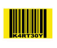 Kartboy